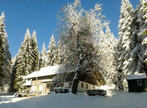 Jahresabschlussfeier auf der Hochwaldhütte